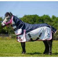 Read Online for Equine Reviews